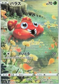 Paras 207 S12A