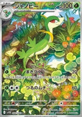Lianaja 088 SV11B