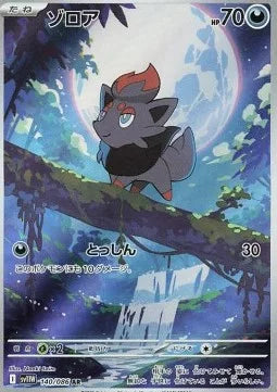 Zorua 140 SV11W
