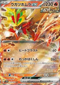 Fire-Perçant ex 012 SV5K
