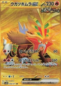 Feu-Perçant ex 098 SV5K