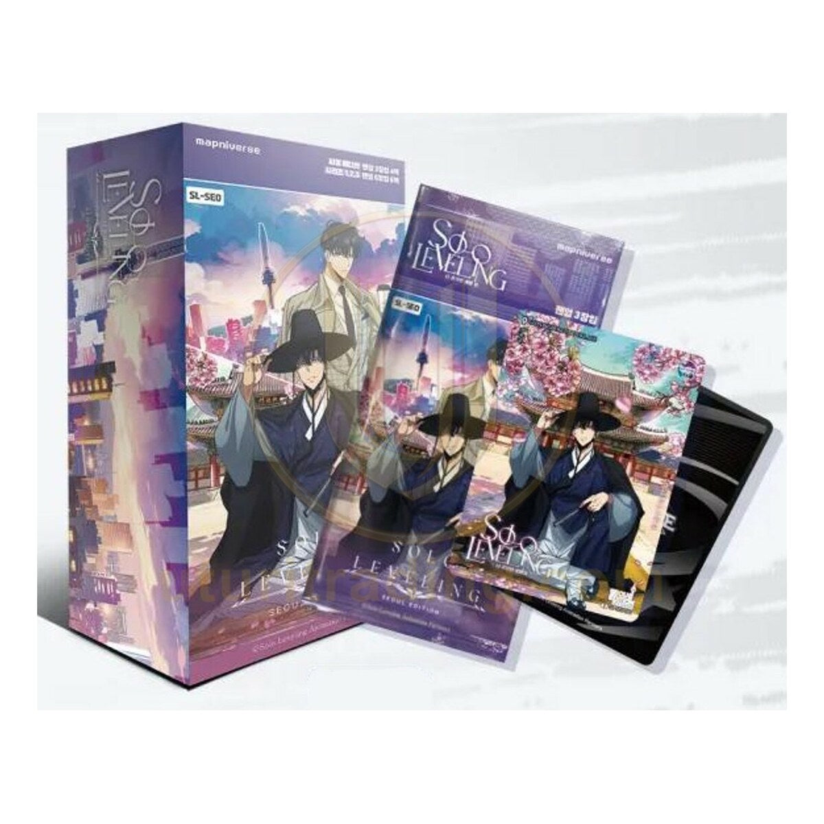 Display Solo Leveling SL4E Seoul Edition avec booster et carte Sung Jinwoo devant un palais de Séoul