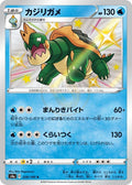 Drednaw 228 S4A — carte Pokémon Shiny Star V S