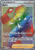Raihan 084 S7D — carte Pokémon Skyscraping Perfection HR