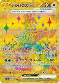 Terapagos ex 237 SV8A — carte Pokémon Terastal Fest ex UR